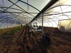 Terreno R�stico - Agu�adoura, P�voa de Varzim, Porto - Miniatura: 1/4