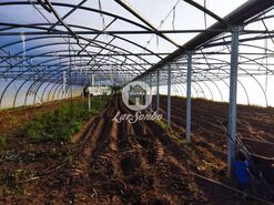 Terreno R�stico - Agu�adoura, P�voa de Varzim, Porto - Miniatura: 2/4