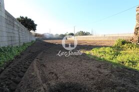 Terreno R�stico - Estela, P�voa de Varzim, Porto - Miniatura: 2/3