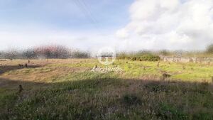 Terreno R�stico - A Ver-o-Mar, P�voa de Varzim, Porto - Miniatura: 1/2
