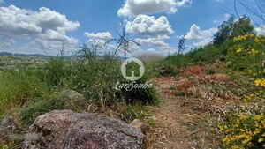 Terreno R�stico - Santo Tirso, Santo Tirso, Porto - Miniatura: 3/10