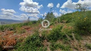 Terreno R�stico - Santo Tirso, Santo Tirso, Porto - Miniatura: 4/10