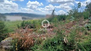 Terreno R�stico - Santo Tirso, Santo Tirso, Porto - Miniatura: 9/10