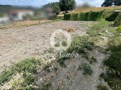 Terreno R�stico - Covelas, Trofa, Porto - Miniatura: 2/14