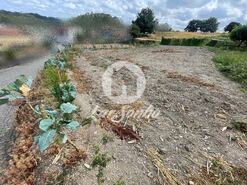 Terreno R�stico - Covelas, Trofa, Porto - Miniatura: 11/14