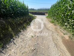 Terreno R�stico - Bagunte, Vila do Conde, Porto - Miniatura: 2/4