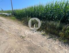 Terreno R�stico - Bagunte, Vila do Conde, Porto - Miniatura: 3/4