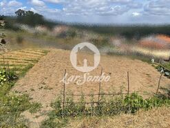 Terreno R�stico - Covelas, Trofa, Porto - Miniatura: 2/12