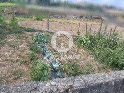 Terreno R�stico - Covelas, Trofa, Porto - Miniatura: 8/12