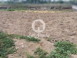 Terreno R�stico - Covelas, Trofa, Porto - Miniatura: 9/12