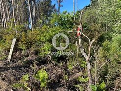 Terreno R�stico - P�voa de Varzim, P�voa de Varzim, Porto - Miniatura: 3/4