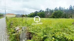 Terreno R�stico - S�o Pedro Fins, Amarante, Porto - Miniatura: 5/15