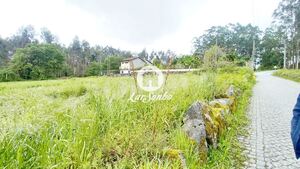 Terreno R�stico - S�o Pedro Fins, Amarante, Porto - Miniatura: 8/15