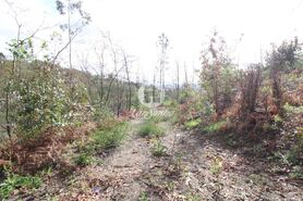 Terreno R�stico - Joane, Vila Nova de Famalic�o, Braga - Miniatura: 5/7