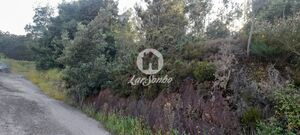 Terreno R�stico - Bougado, Trofa, Porto - Miniatura: 8/32