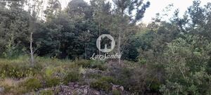 Terreno R�stico - Bougado, Trofa, Porto - Miniatura: 9/32