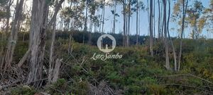 Terreno R�stico - Bougado, Trofa, Porto - Miniatura: 23/32