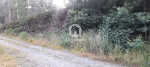 Terreno R�stico - Bougado, Trofa, Porto - Miniatura: 24/32