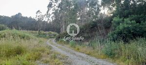 Terreno R�stico - Bougado, Trofa, Porto - Miniatura: 25/32
