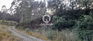 Terreno R�stico - Bougado, Trofa, Porto - Miniatura: 26/32