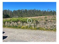 Terreno R�stico - CHORENTE, Barcelos, Braga - Miniatura: 2/3