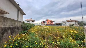 Terreno R�stico - A Ver-o-Mar, P�voa de Varzim, Porto - Miniatura: 5/16