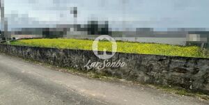Terreno R�stico - Gondifelos, Vila Nova de Famalic�o, Braga - Miniatura: 1/4