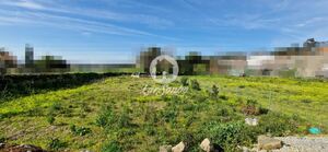 Terreno R�stico - Guilhabreu, Vila do Conde, Porto - Miniatura: 1/9