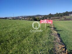 Terreno R�stico - Ribeir�o, Vila Nova de Famalic�o, Braga - Miniatura: 1/4
