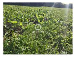 Terreno R�stico - P�voa de Varzim, P�voa de Varzim, Porto - Miniatura: 4/8