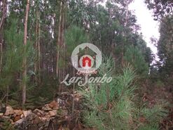 Terreno R�stico - Fornelo e Vair�o, Vila do Conde, Porto - Miniatura: 1/12