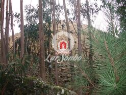 Terreno R�stico - Fornelo e Vair�o, Vila do Conde, Porto - Miniatura: 2/12