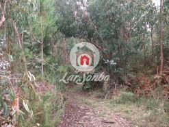 Terreno R�stico - Fornelo e Vair�o, Vila do Conde, Porto - Miniatura: 3/12