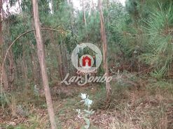 Terreno R�stico - Fornelo e Vair�o, Vila do Conde, Porto - Miniatura: 4/12