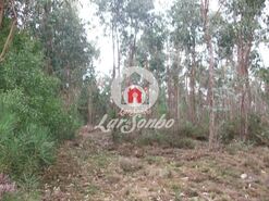 Terreno R�stico - Fornelo e Vair�o, Vila do Conde, Porto - Miniatura: 5/12