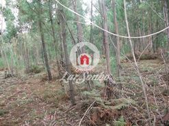 Terreno R�stico - Fornelo e Vair�o, Vila do Conde, Porto - Miniatura: 7/12