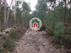Terreno R�stico - Fornelo e Vair�o, Vila do Conde, Porto - Miniatura: 8/12