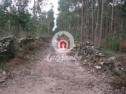 Terreno R�stico - Fornelo e Vair�o, Vila do Conde, Porto - Miniatura: 9/12