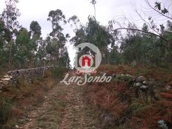 Terreno R�stico - Fornelo e Vair�o, Vila do Conde, Porto - Miniatura: 10/12
