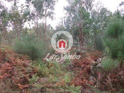 Terreno R�stico - Fornelo e Vair�o, Vila do Conde, Porto - Miniatura: 11/12
