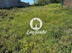 Terreno R�stico - Vila Ch�, Vila do Conde, Porto - Miniatura: 5/24
