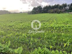 Terreno R�stico - P�voa de Varzim, P�voa de Varzim, Porto - Miniatura: 1/3