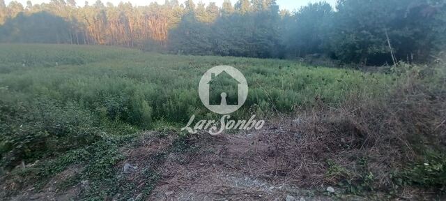 Terreno R�stico - Ribeir�o, Vila Nova de Famalic�o, Braga - Imagem grande