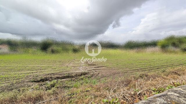 Terreno R�stico - Junqueira, Vila do Conde, Porto - Imagem grande