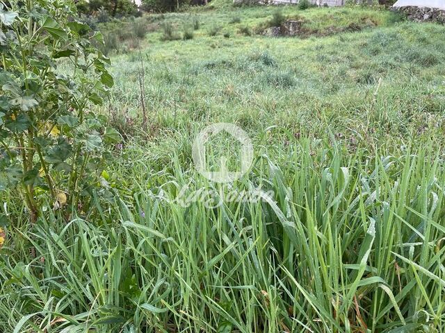 Terreno R�stico - Gondifelos, Vila Nova de Famalic�o, Braga - Imagem grande
