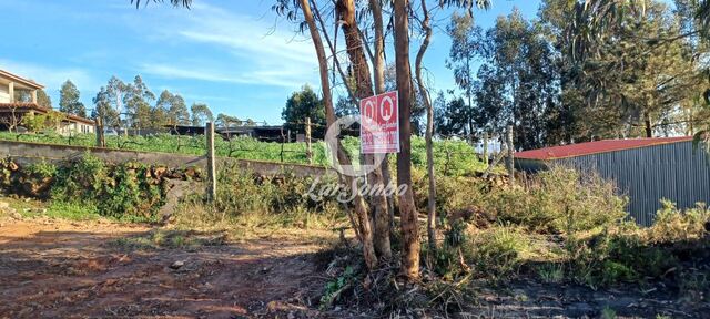 Terreno R�stico - Vilarinho das Cambas, Vila Nova de Famalic�o, Braga - Imagem grande