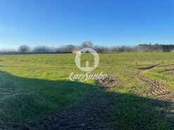 Terreno Rstico - Junqueira, Vila do Conde, Porto