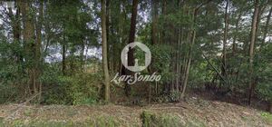 Terreno R�stico - Modivas, Vila do Conde, Porto