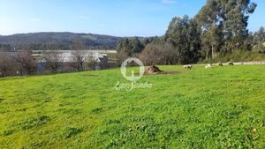 Terreno R�stico - Vila Nova de Famalic�o, Vila Nova de Famalic�o, Braga