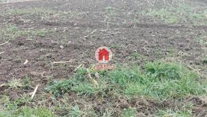 Terreno R�stico - Fajozes, Vila do Conde, Porto